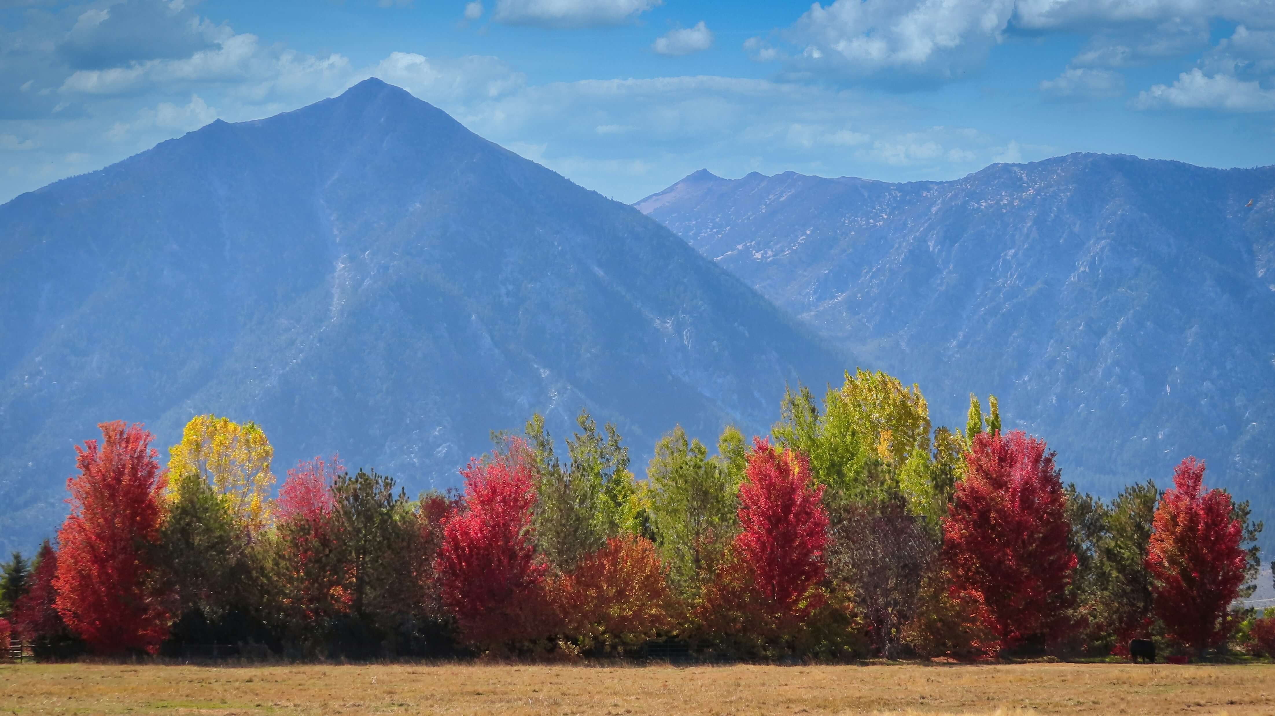 Ranch land with mountain views in the Carson Valley Nevada